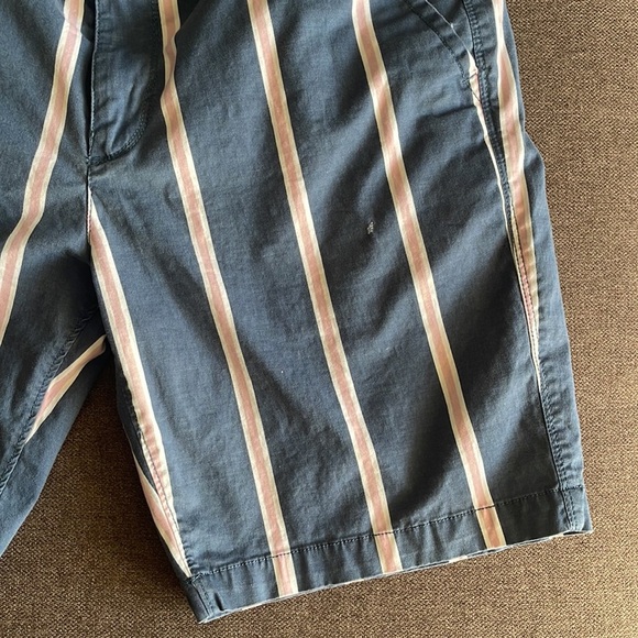 Free Planet Men's 8” Inseam Size 32 Striped Blue & Pink Shorts - Picture 3 of 5